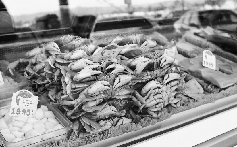 “Sit and Watch the Parade&nbsp;Pass”